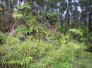 11 3205th #38, Volcano, HI 96785