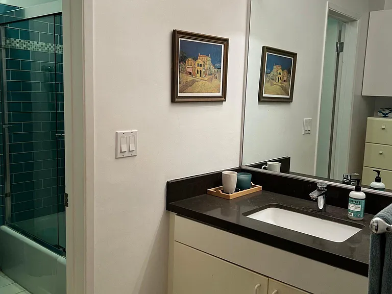 Vanity is outside the shower and toilet.