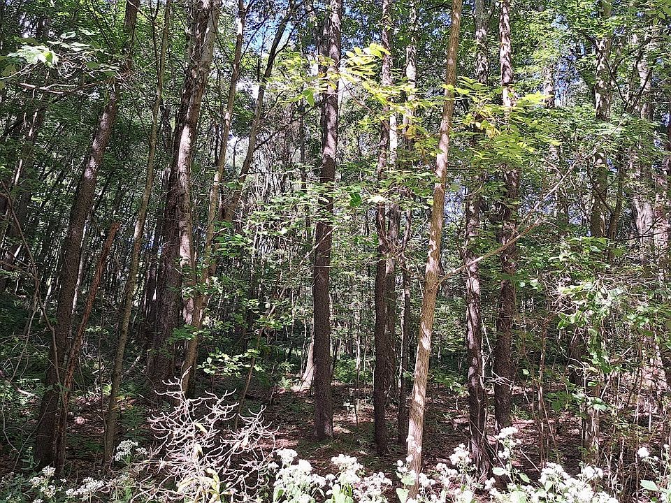 1st image of 0 Chicora Rd