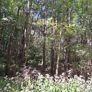 0 Chicora Rd, Chicora, PA, 16025
