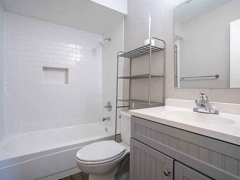 2911 Forest Creek Dr — Photo 7