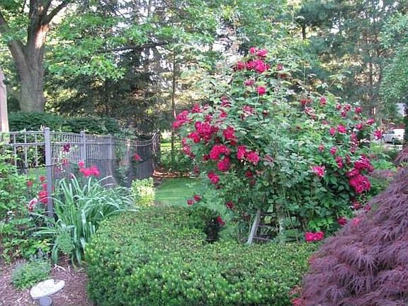 exquisite yard with year round flowers
