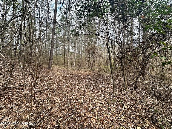 5th image of Ward Rd