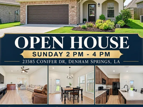 23585 Conifer Dr, Denham Springs, LA 70726