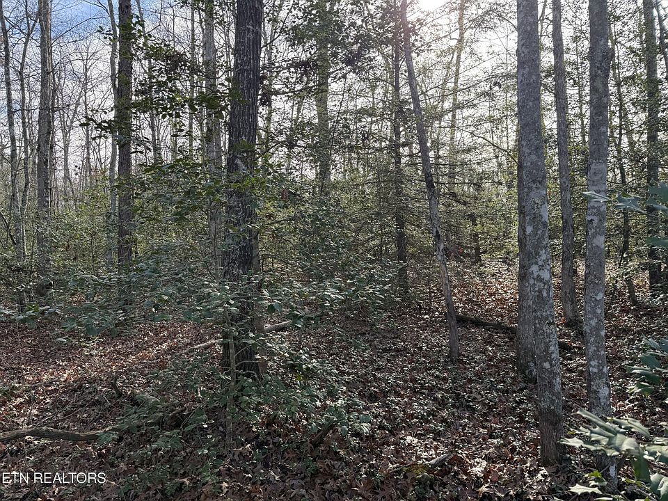 1st image of 0 Walker Hollow Dr Lot 8