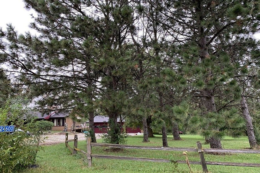 24600 S 44th St, Firth, NE 68358 Zillow