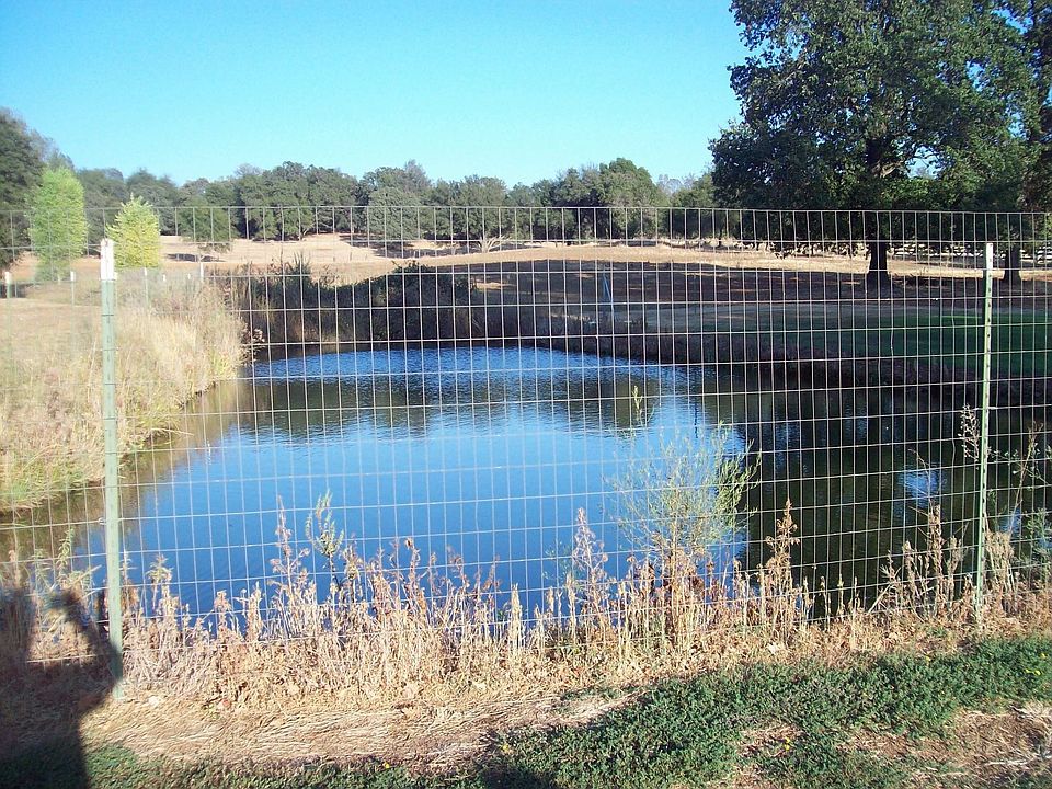 Fenced year around pond