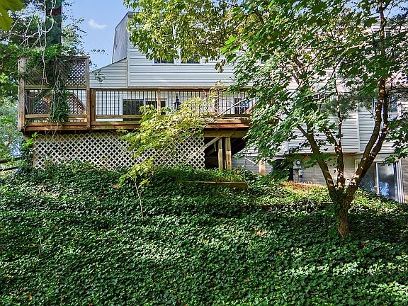 Terraced back yard