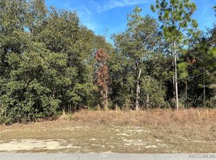 8593 N Muller Way, Citrus Springs, FL 34434