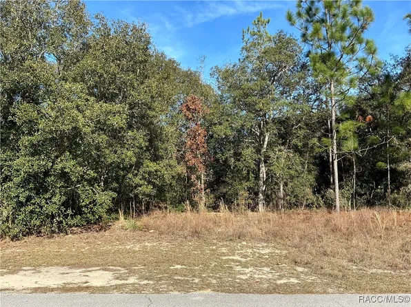 8593 N Muller Way, Citrus Springs, FL 34434