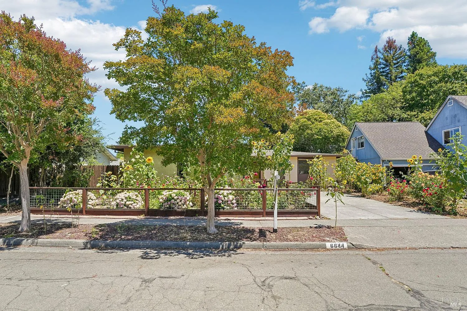 6644 Greenmeadow Drive - Photo 3