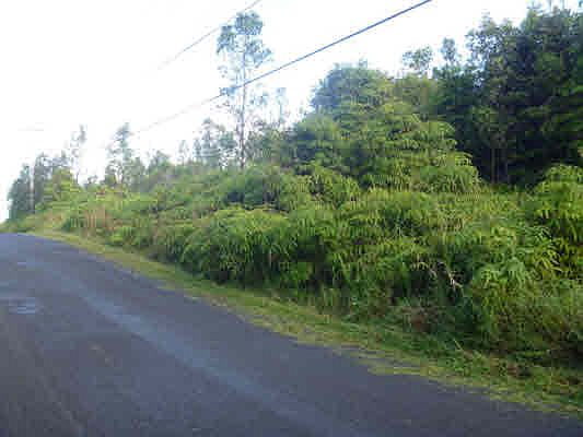 3rd image of Lehua St Lot 6890