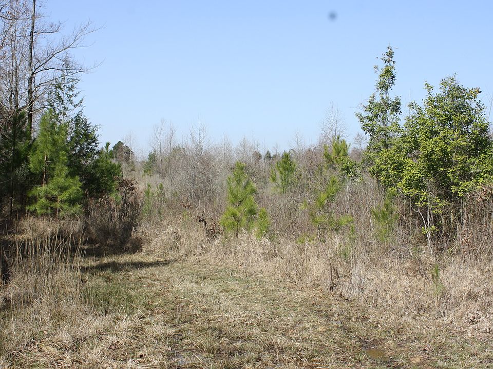 2nd image of Cherry Springs Rd