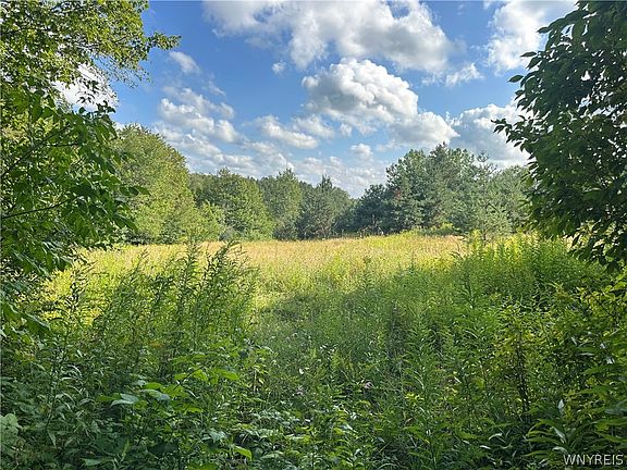 5th image of V/l Genesee Rd Lot 3