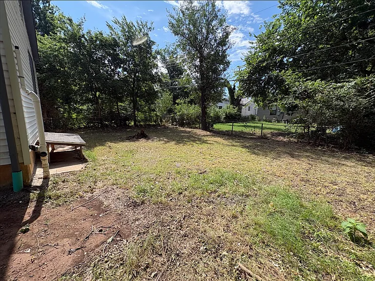 Backyard_06222026