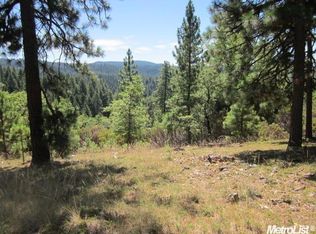 5701 Wildrose Dr, Grizzly Flats, CA