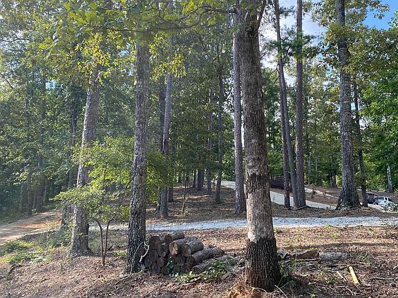 3rd image of 236 Blue Gill Dr #14