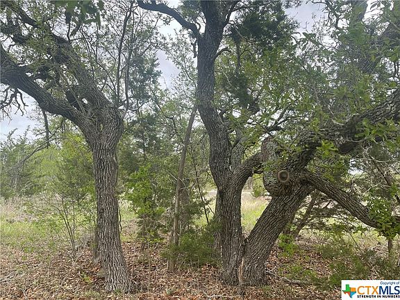 3rd image of 186 Spicewood Trails Dr