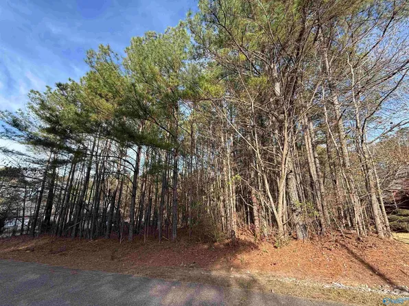 LOT 3 Sweetwater Ln, Rainbow City, AL 35906
