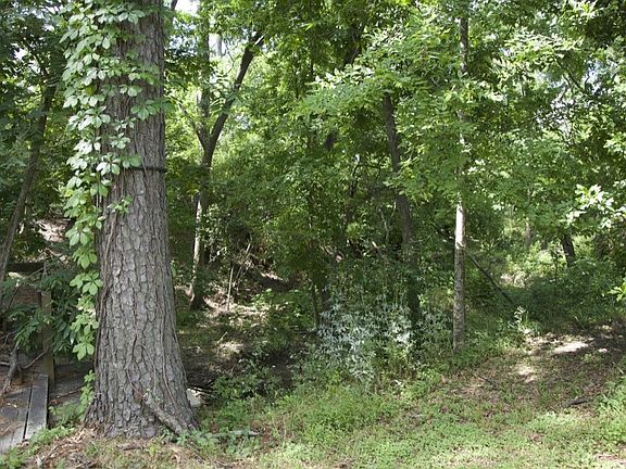 Secluded area with lots of trees.