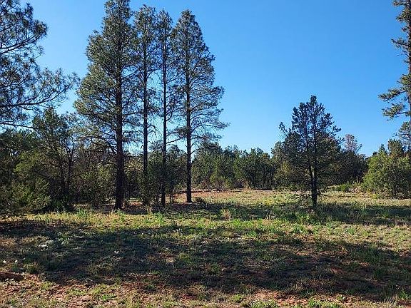 2nd image of 3120-3122 Whitetail Way