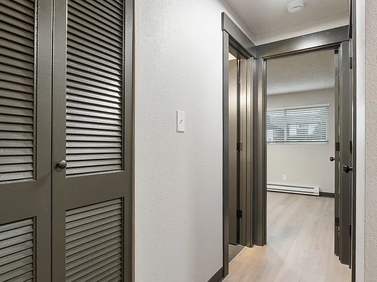 Bayswater Apartments — Photo 10