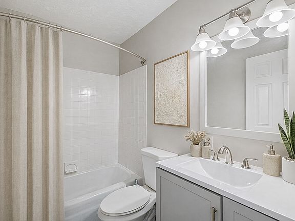 Modern bathroom with a snake plant