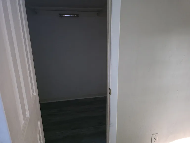 3508 Royal Palm Arch — Photo 6