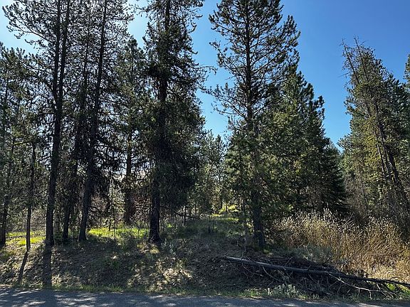 3rd image of 237 Moonridge Dr