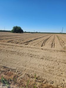 795 E Springfield Ave, Fresno, CA, 93725