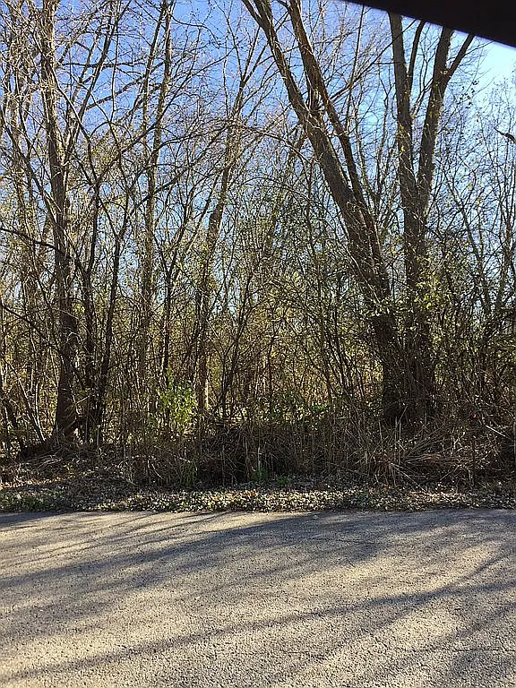 32831 Nikki Ln photo 1