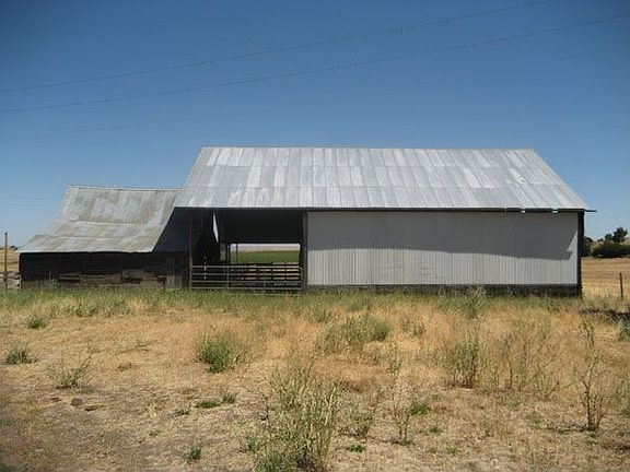 Cattle Shed