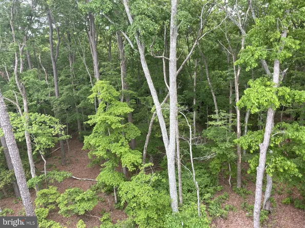 0 Downs Rd, Newark, MD 21841