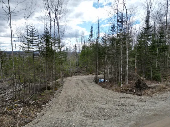 Lot 3 Arab Road, Lee, ME 04455