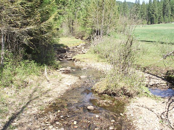 4th image of Nka Bear Springs Road