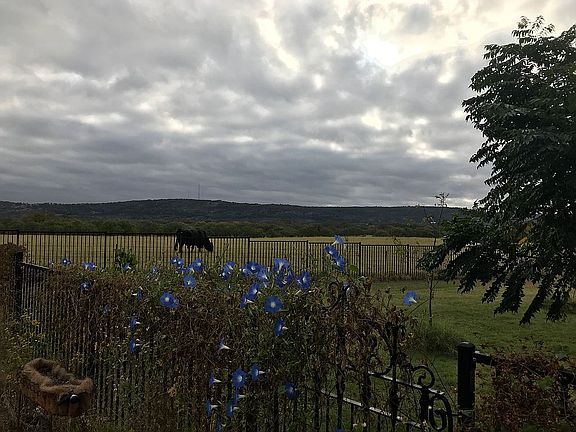 2nd image of 124 Samantha Ln