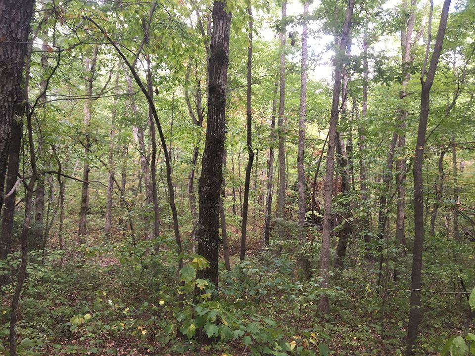 2nd image of 0 Deer Run Loop