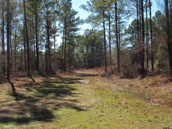 105.4 State Highway 84 #C, Reklaw, TX 75784