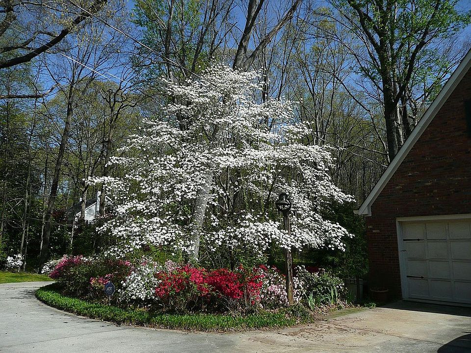 2nd image of 745 Dixon Dr