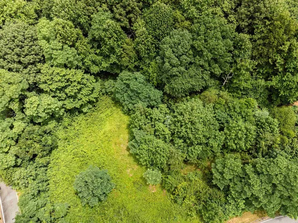 100 Northstar Ln, Landrum, SC 29356