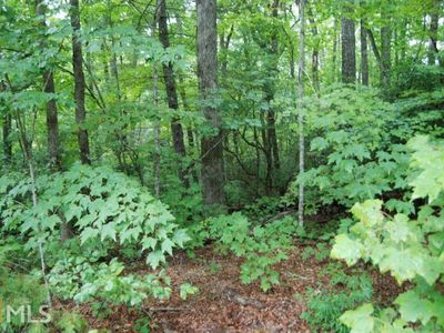 0 Silver Cloud Ln #2B, Clayton, GA, 30525