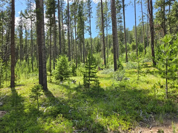 39 Shakopee Dr, Anaconda, MT 59711