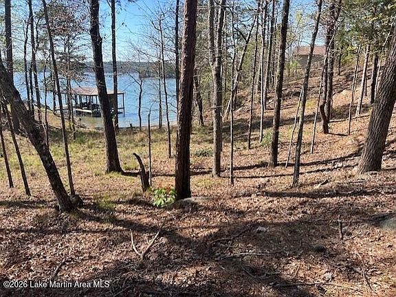 3rd image of Woodland Rd