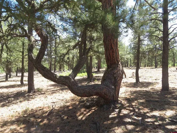 500 Coronado Circle, Pagosa Springs, CO 81147