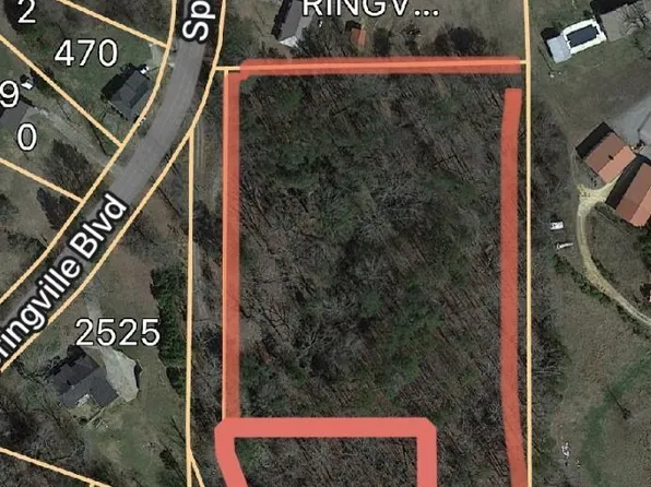 Springville Blvd #21897, Oneonta, AL 35121