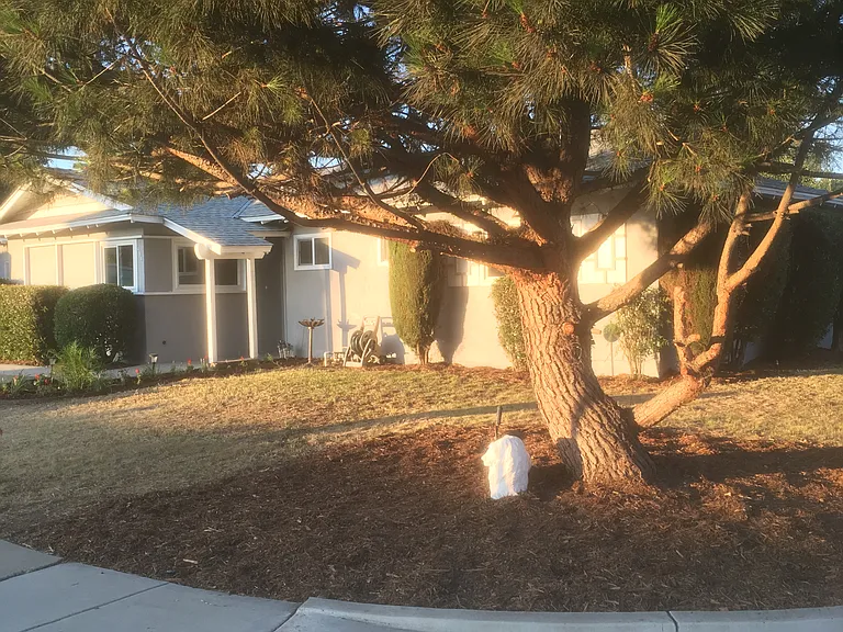 494 N Wendy Dr — Photo 1