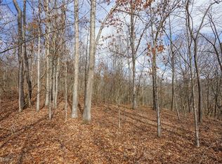 Jackson Fork Rd, South Webster, OH 45682