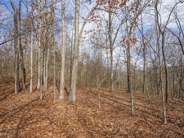 Jackson Fork Rd, South Webster, OH 45682