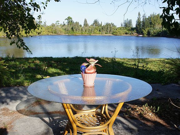 View of the pond from backya