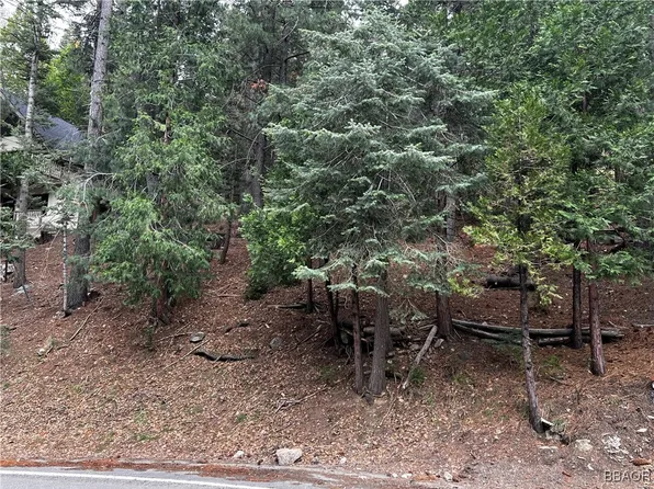 0 Brentwood Dr, Lake Arrowhead, CA 92352